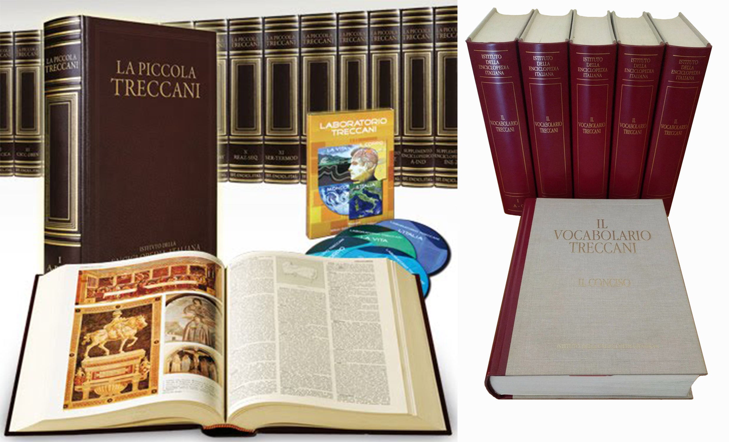 Enciclopedia  La Piccola Treccani con Appendici e Vocabolario