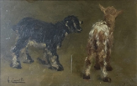 Vincenzo Caprile - Senza titolo