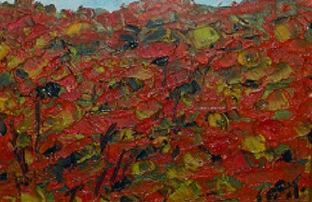 Teresio Pastorino - Senza titolo