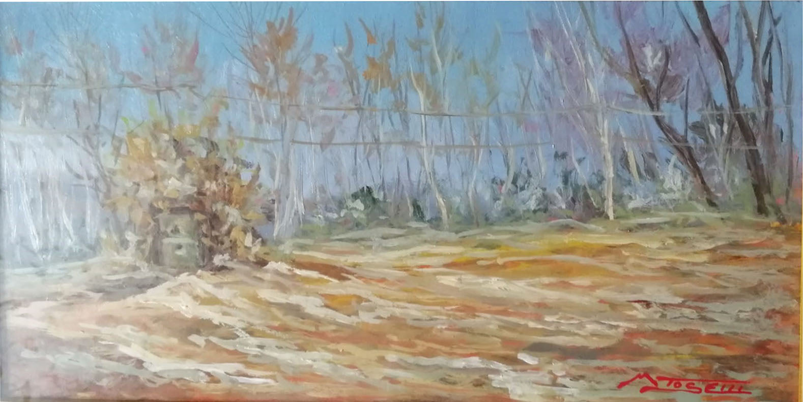Mario Toselli - Untitled