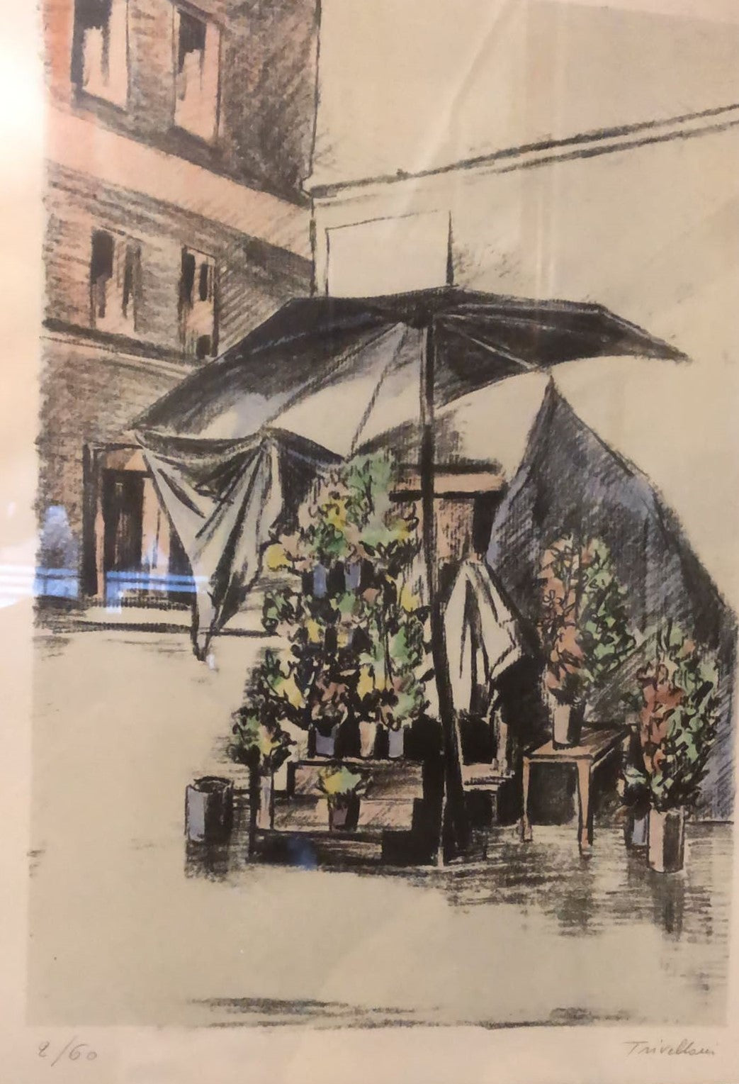 CHIOSCO DELLE PIANTE - ROMOLO TRIVELLONI