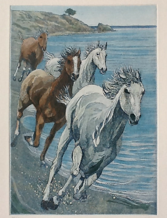 Cavalli in corsa sulla spiaggia