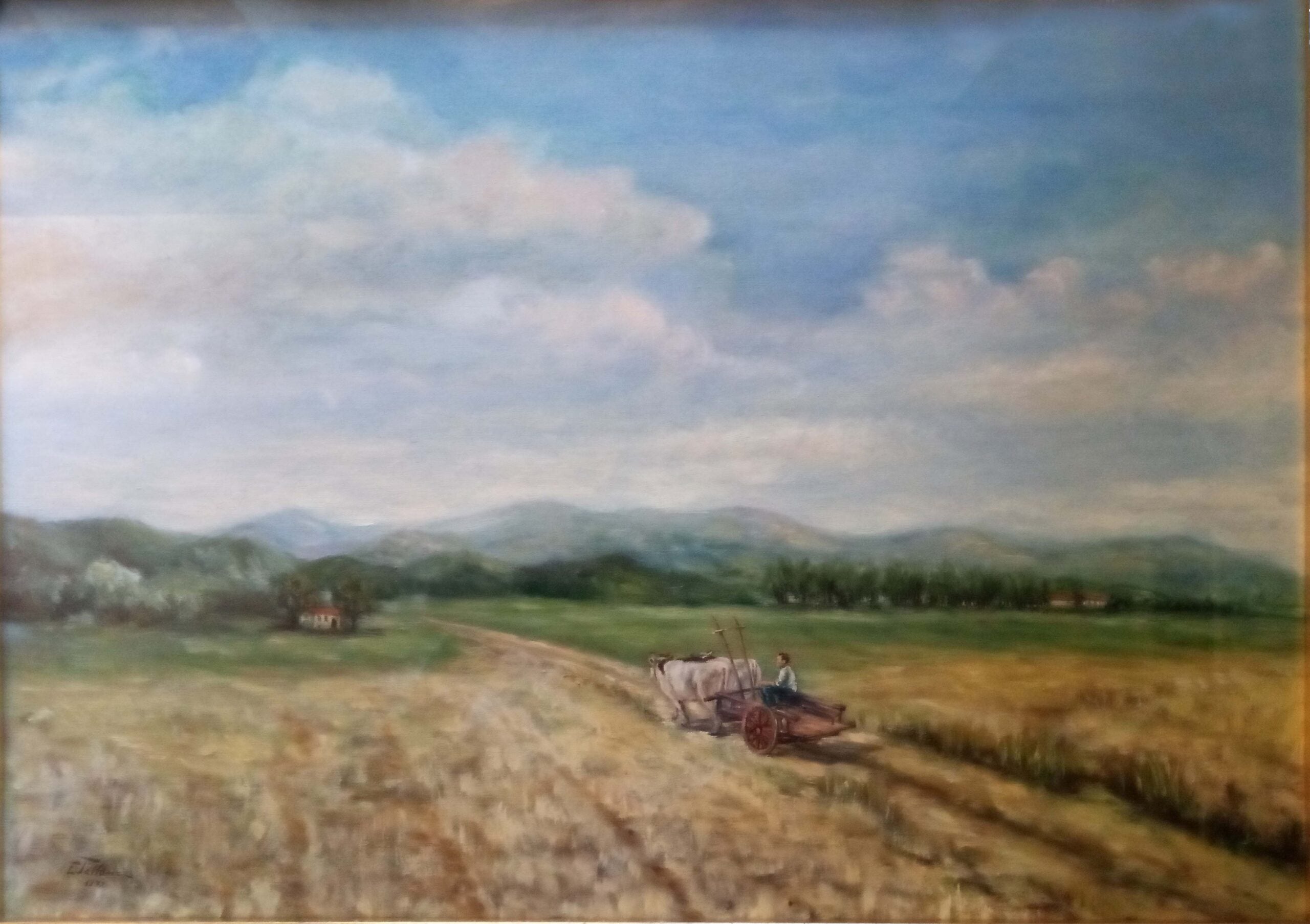 Enea Tallone - Campo de trigo