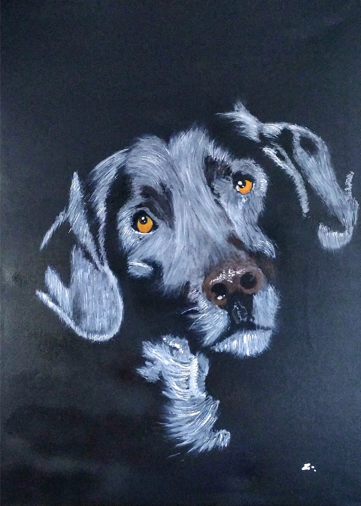 Zeak 31 (Javier Jimeno Serrano) - Terrier