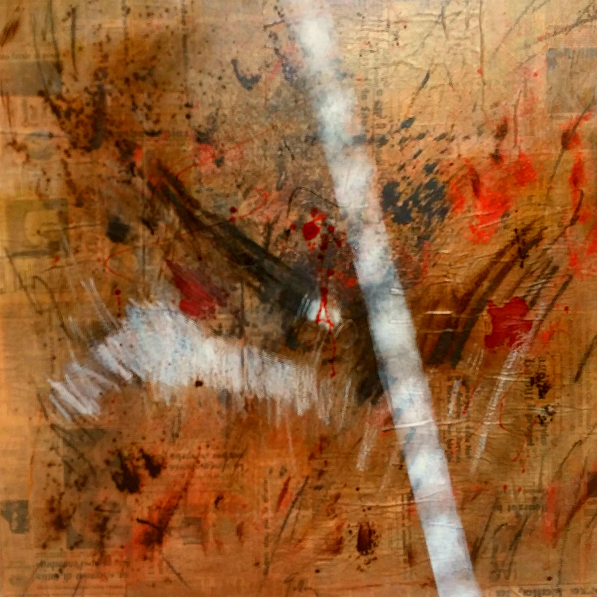 Paolo Pallara - Macchie e Bianco 2