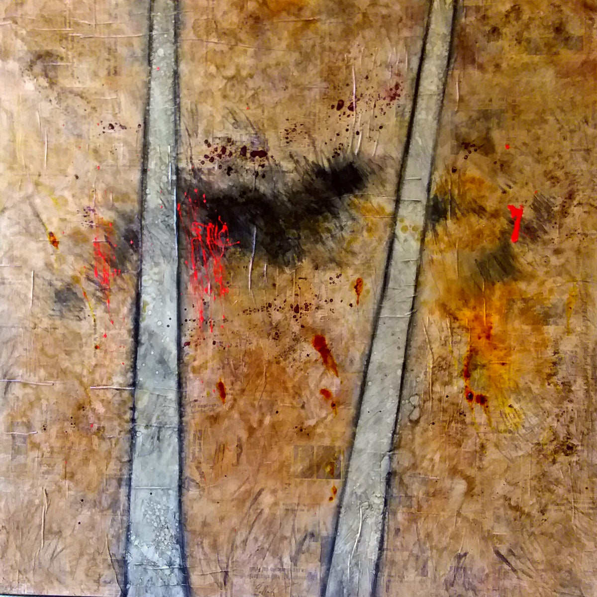 Paolo Pallara - Macchie e Squarci Bianchi