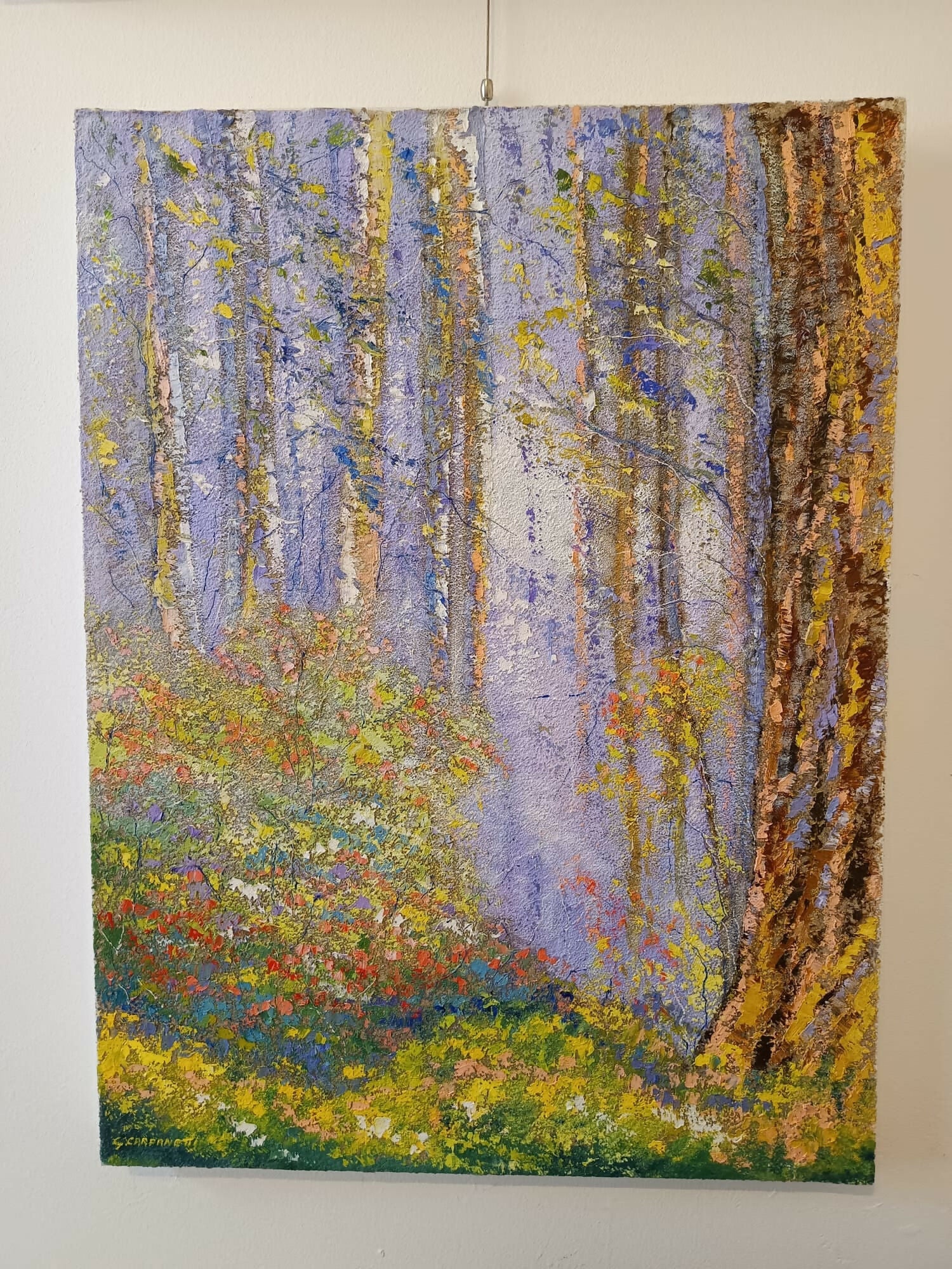 Primo mattino magica bruma nel bosco