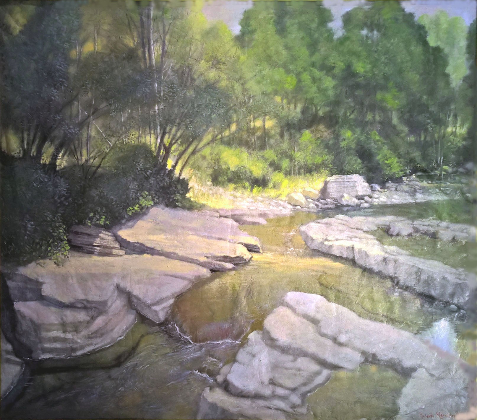 Roberto Meschini - Torrente Corsalone- Casentino