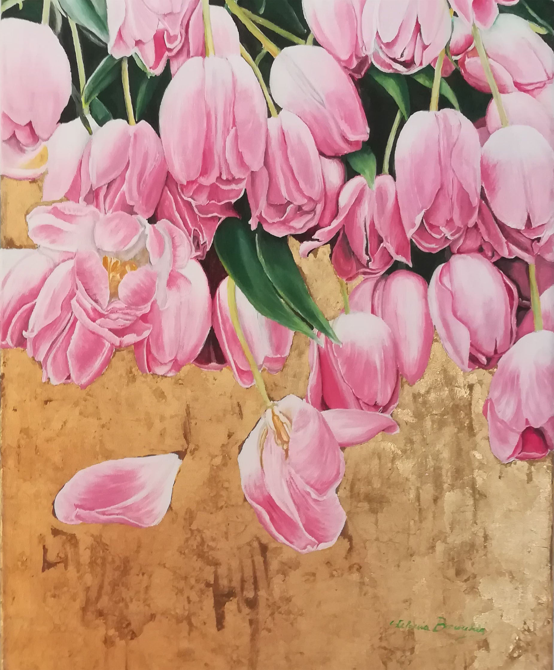 Stefania Borucchia - Tulipani rosa