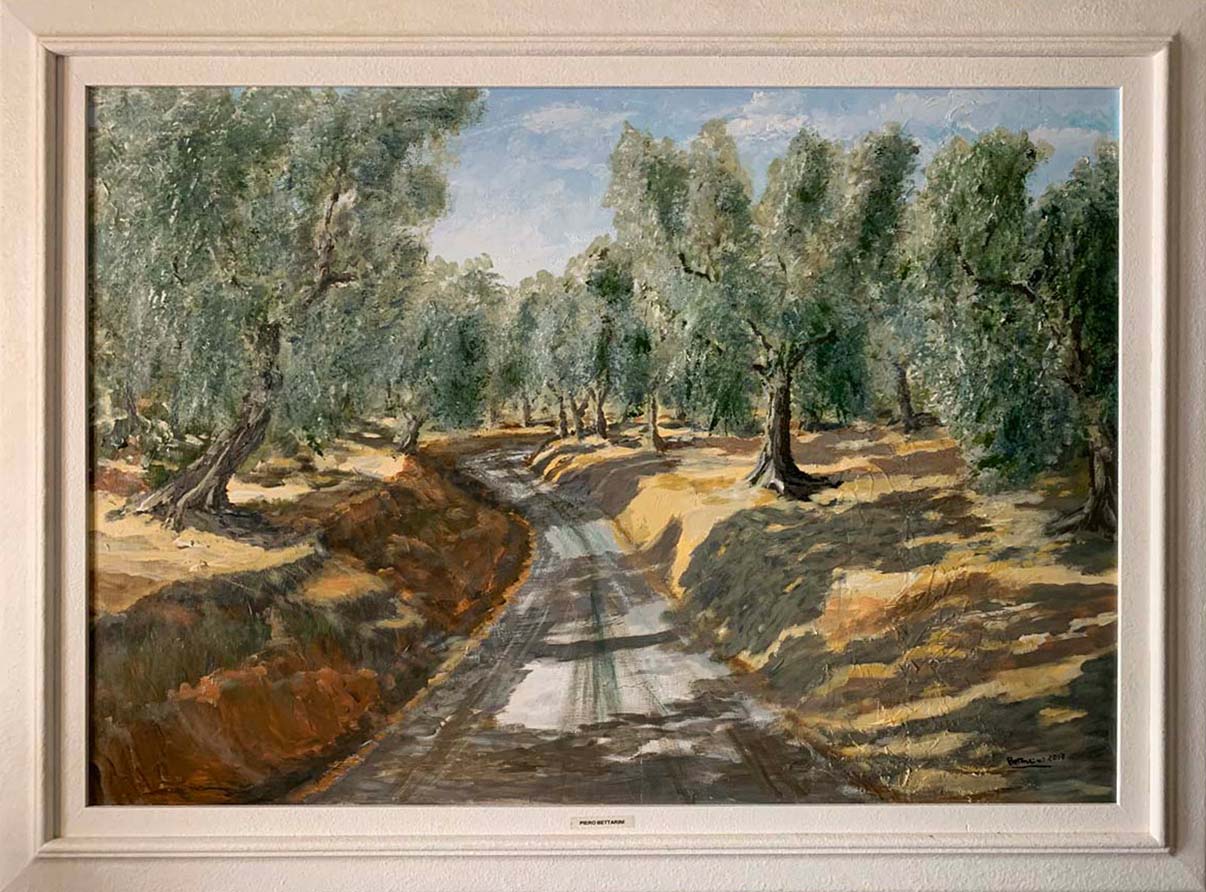 Piero Bettarini - Ulivi