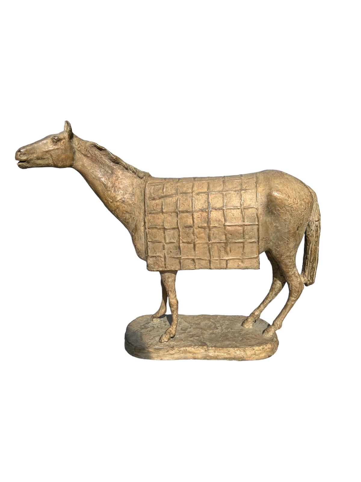Romano Vio - Caballo con manto