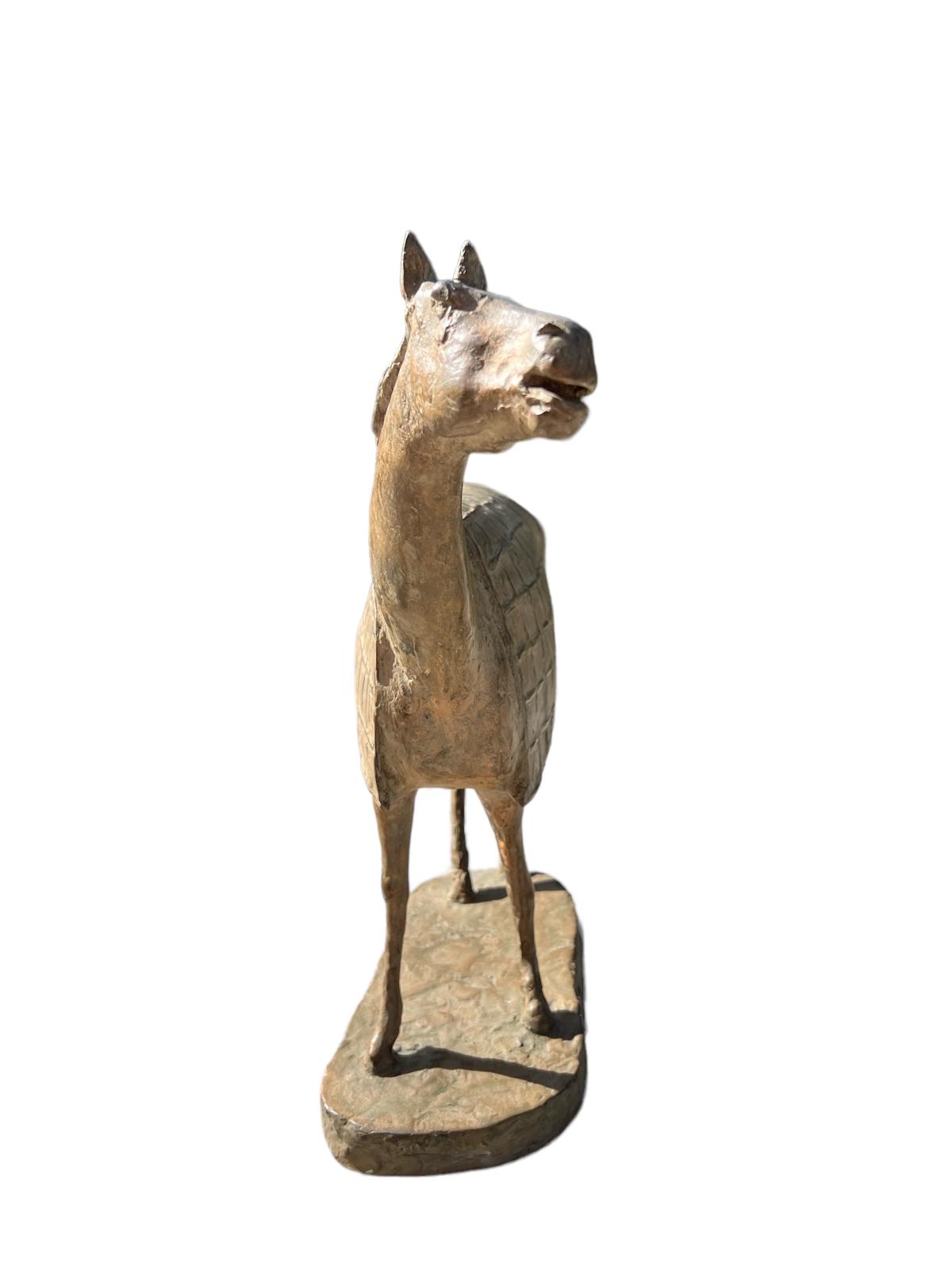 Romano Vio - Caballo con manto