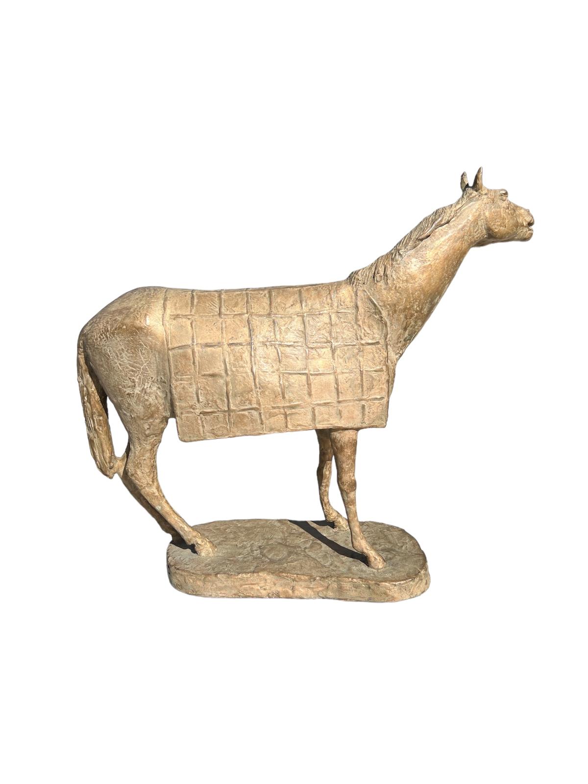 Romano Vio - Caballo con manto