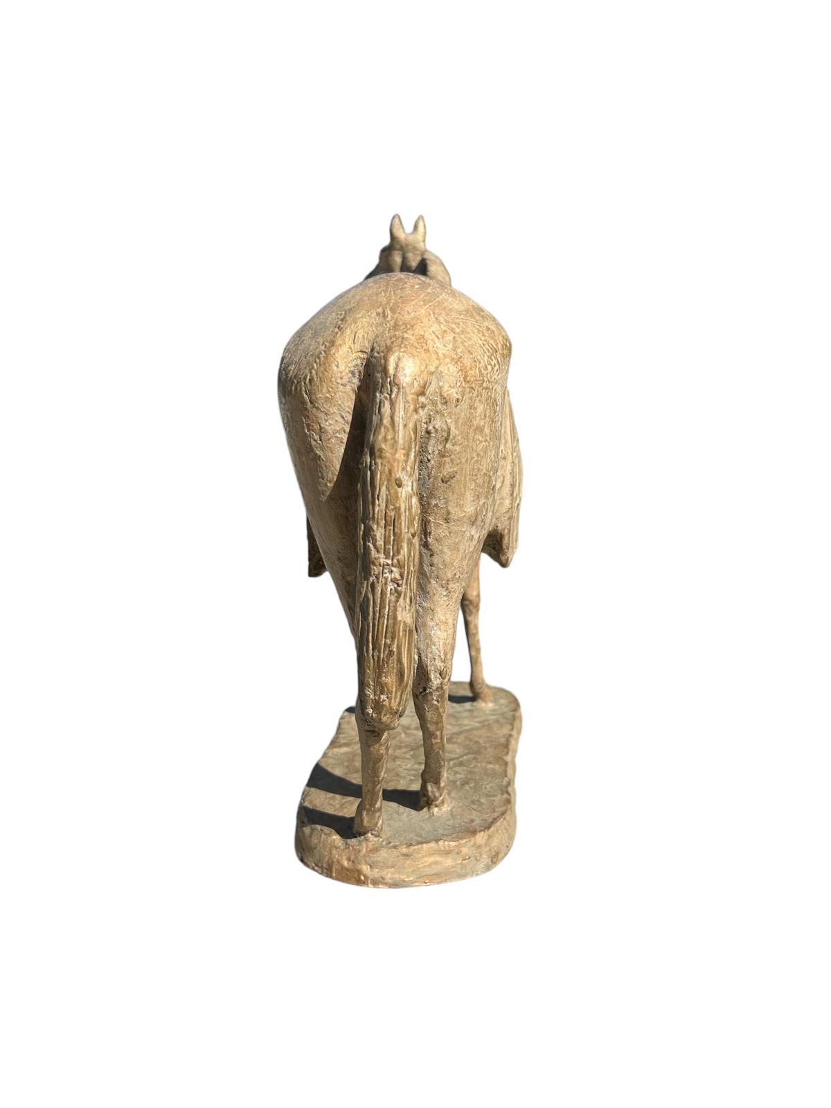 Romano Vio - Caballo con manto