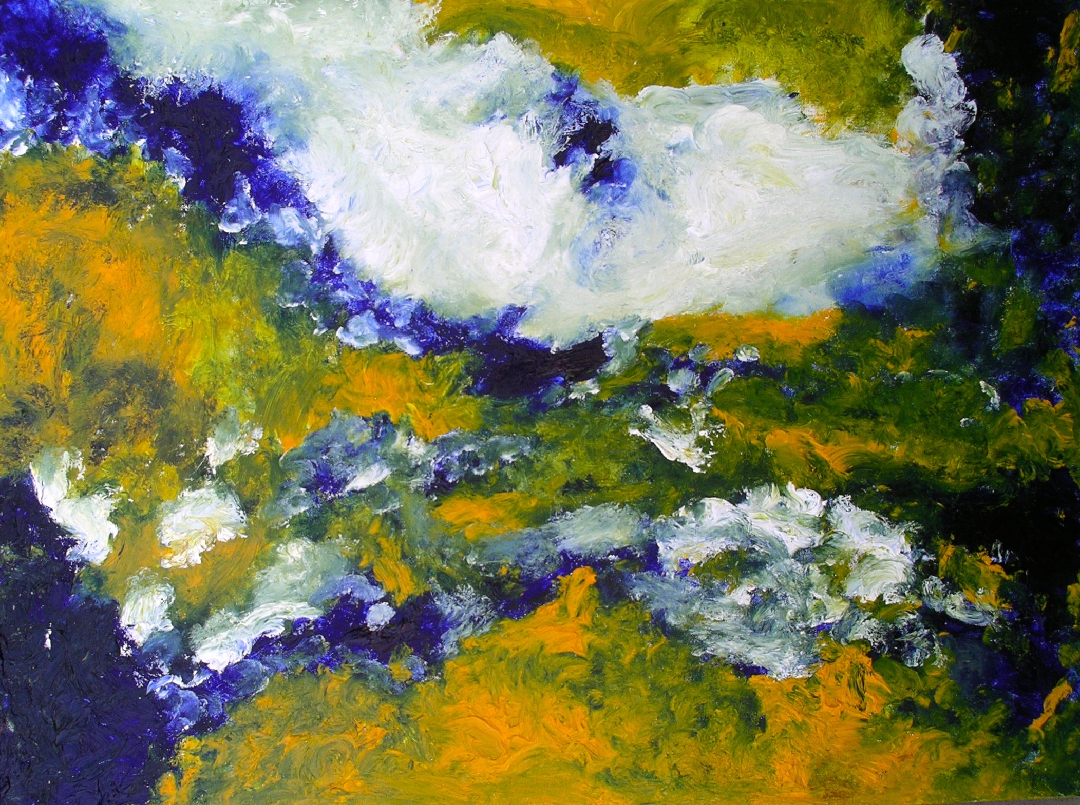 Liliana Scocco Cilla - Flowery Vision