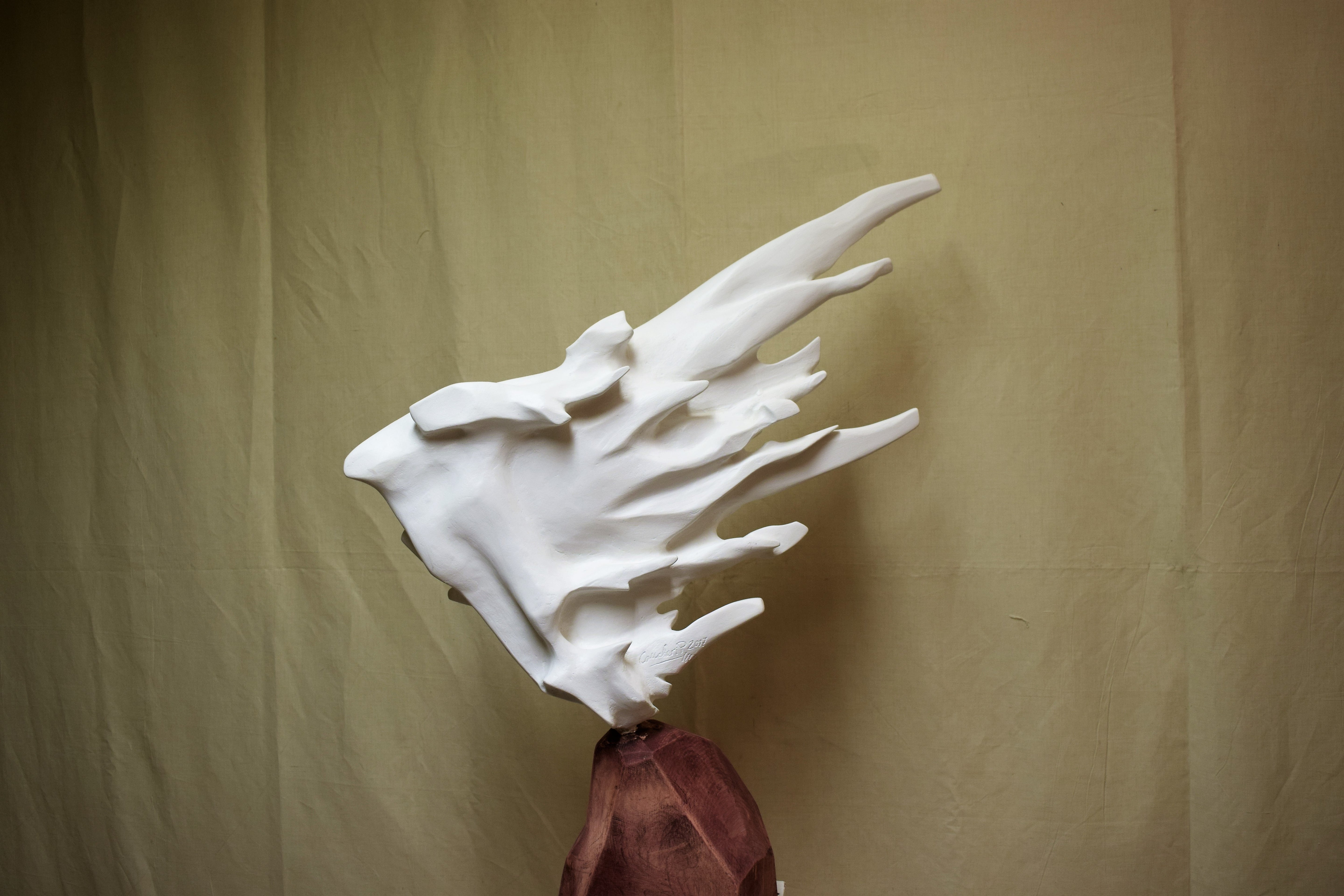 Pierluigi Concheri - White wind