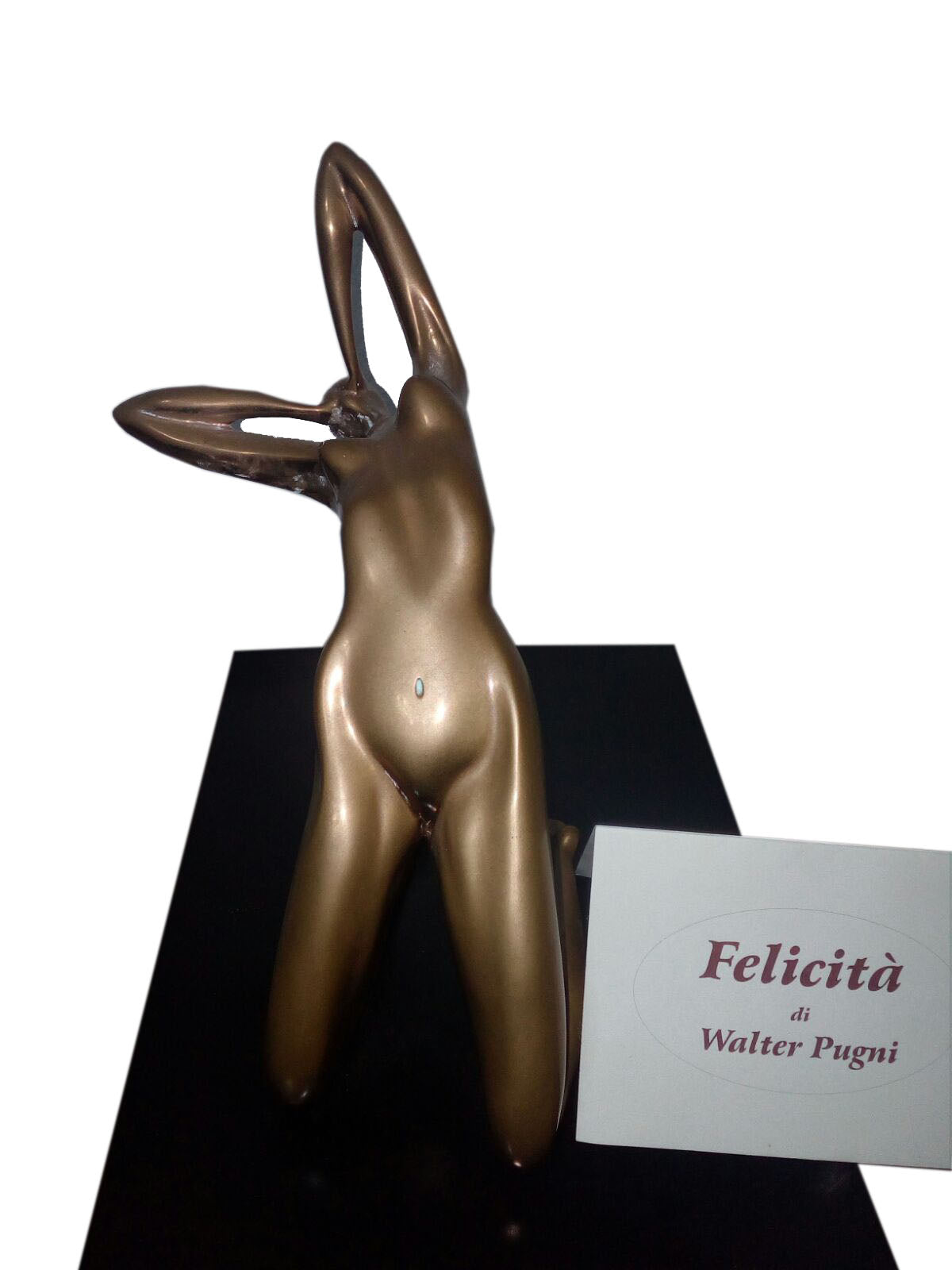 Walter Pugni - Felicità