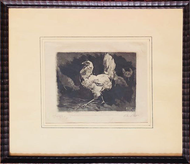 Pietro Pietra - Gallo