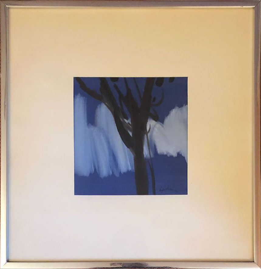 Bruno Polver - Senza titolo