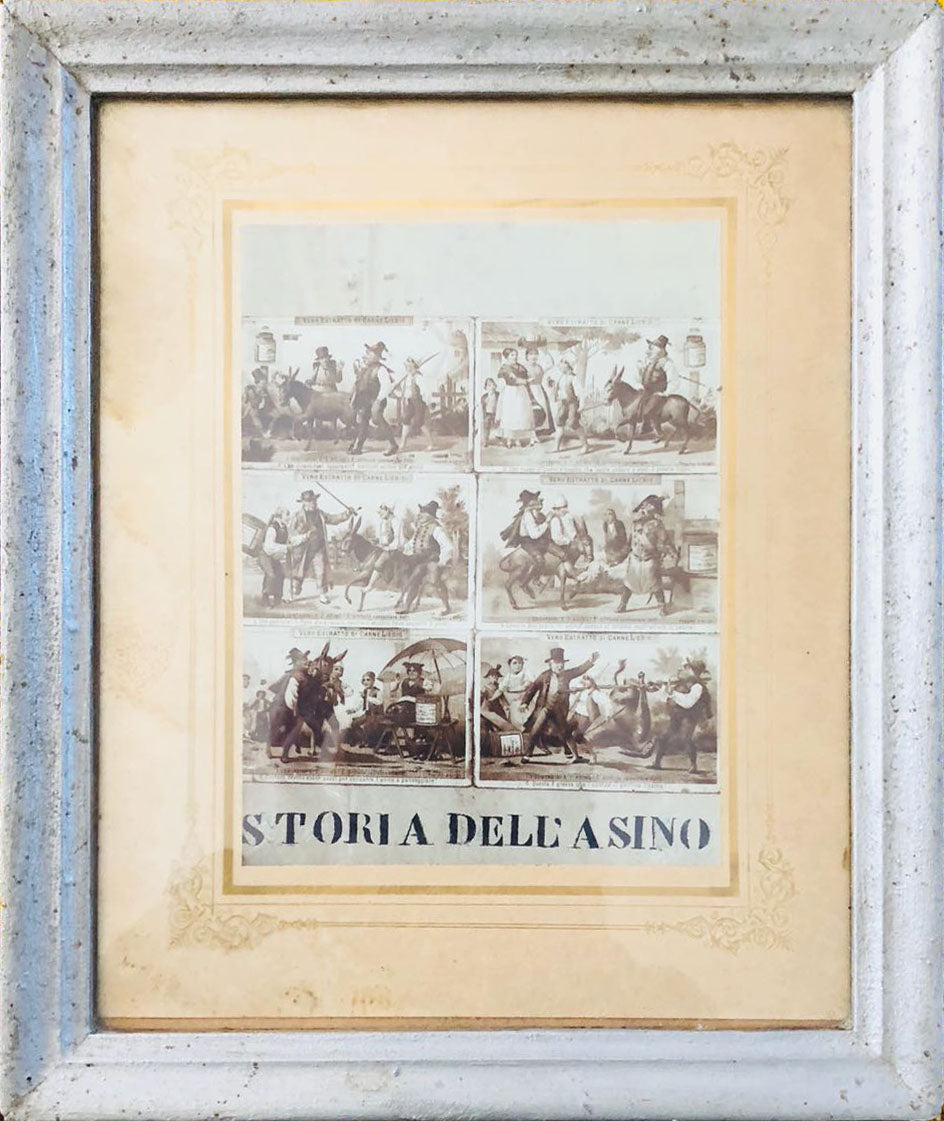 Artista sconosciuto - Storia dell'asino