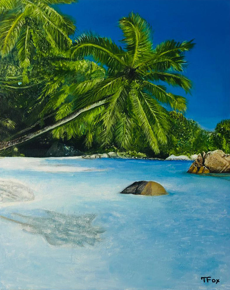 Tfox - Seychelles