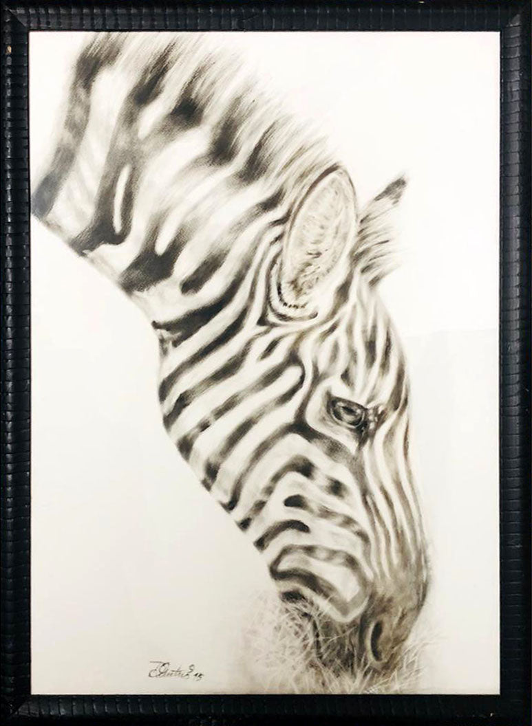 Daniela Pintus - Cebra Africana