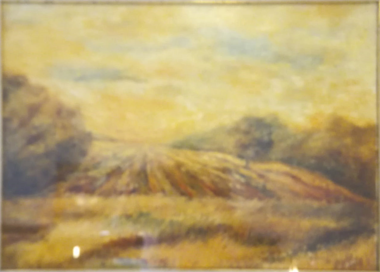 Massimo Ada - Wheat Field