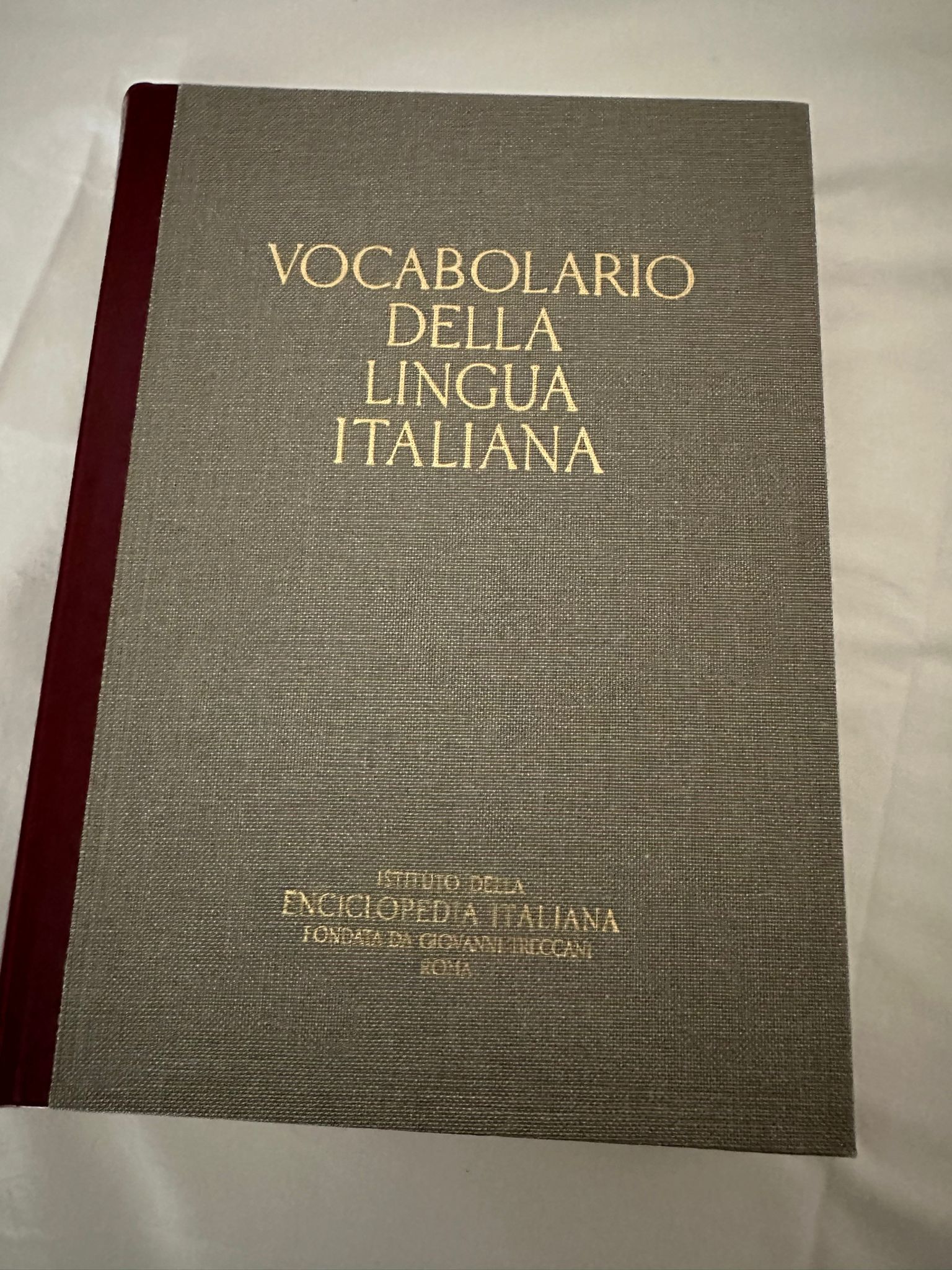 Vocabolario della lingua italiana - Treccani