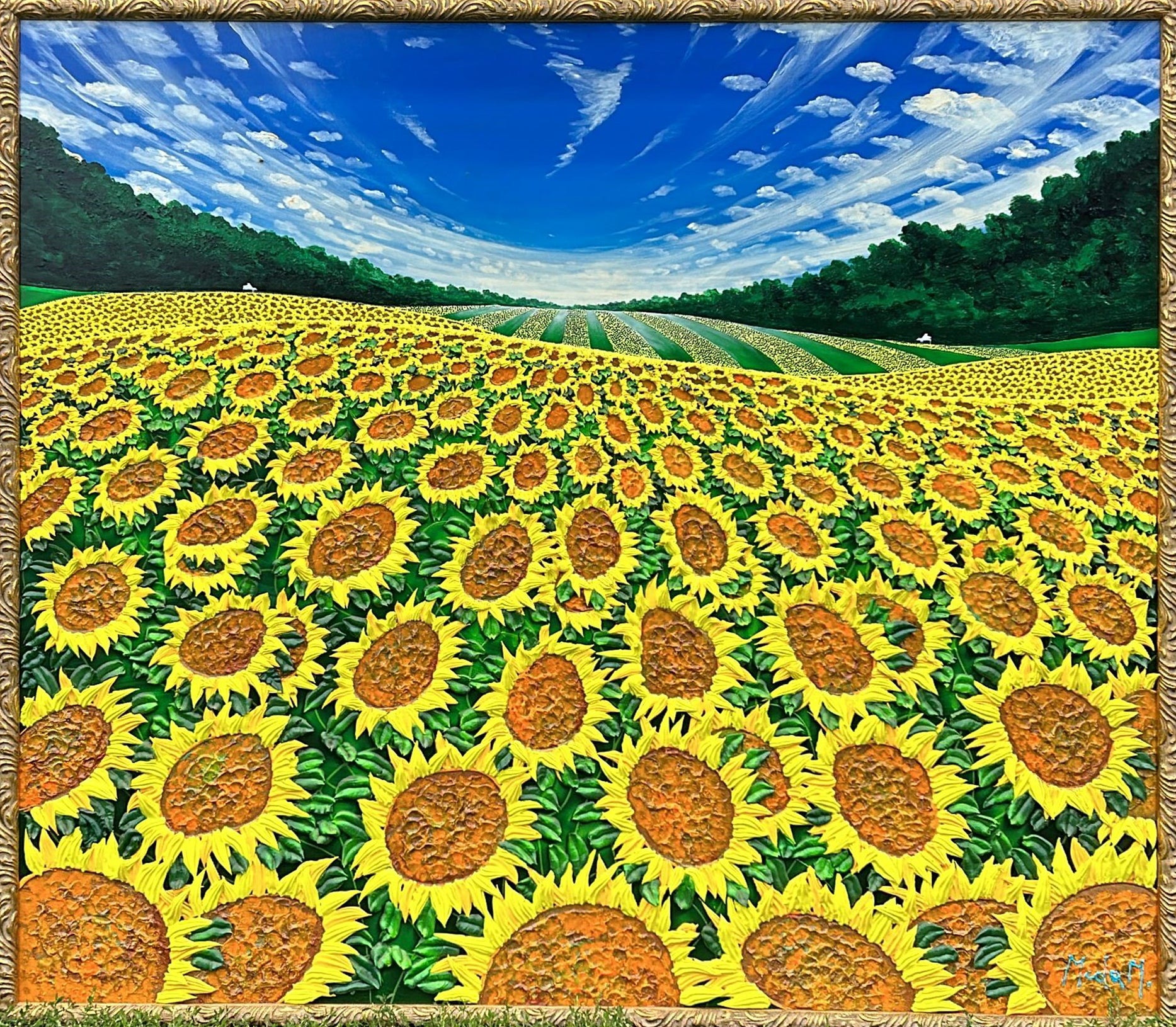 Massimo Meda - Girasoli