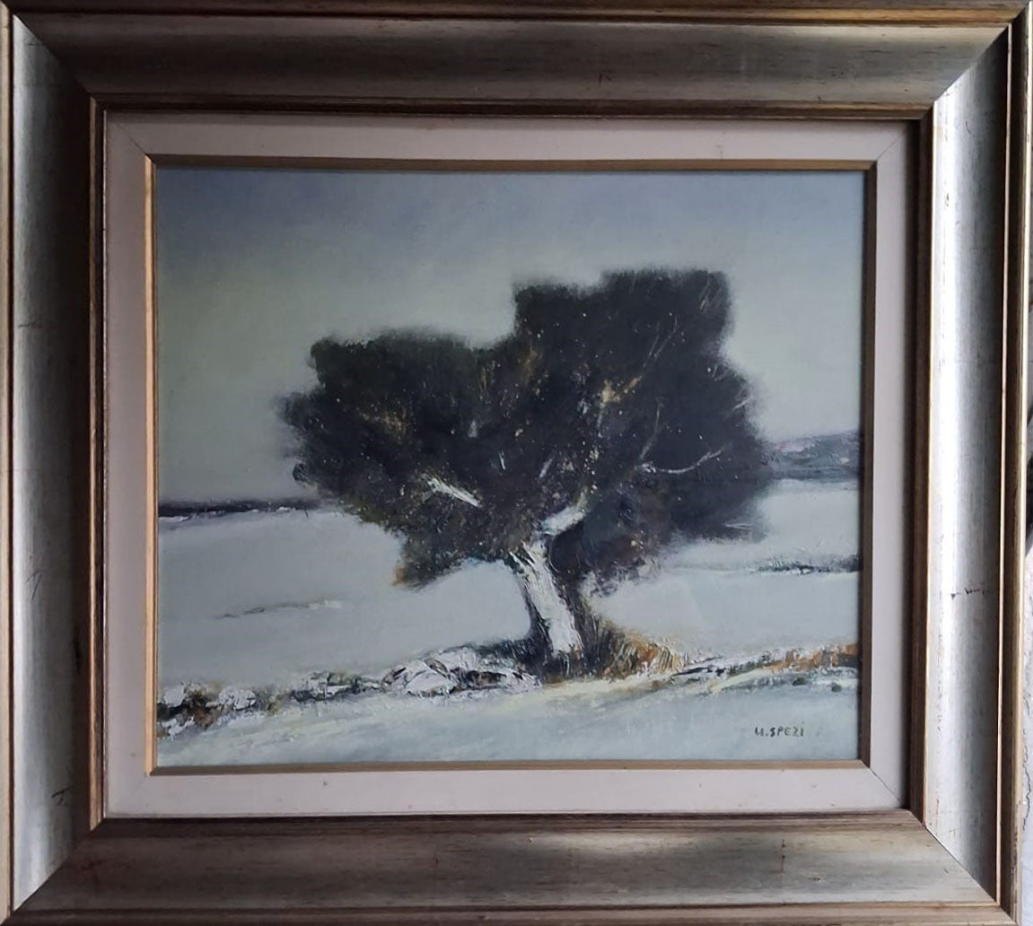 Ugo Spezi - Sin título (Árbol)