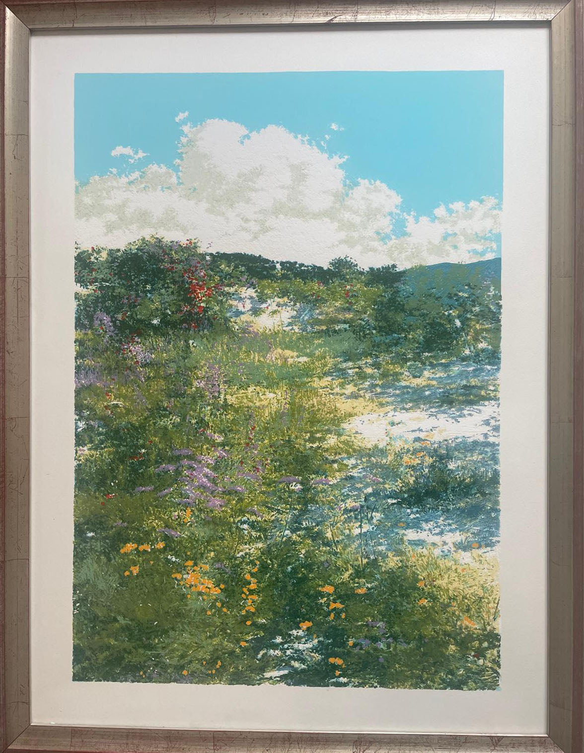 Antonio Pedretti - Campo fiorito