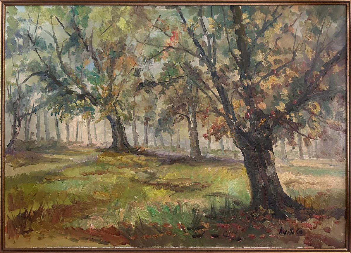Bosco di Augusto Cis, olio su tela