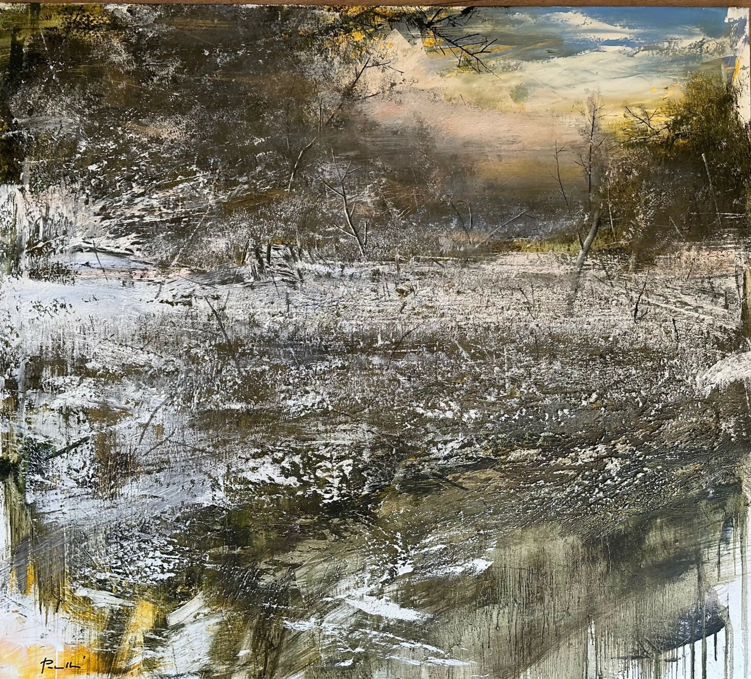 PALUDOSO INNEVATO - ANTONIO PEDRETTI