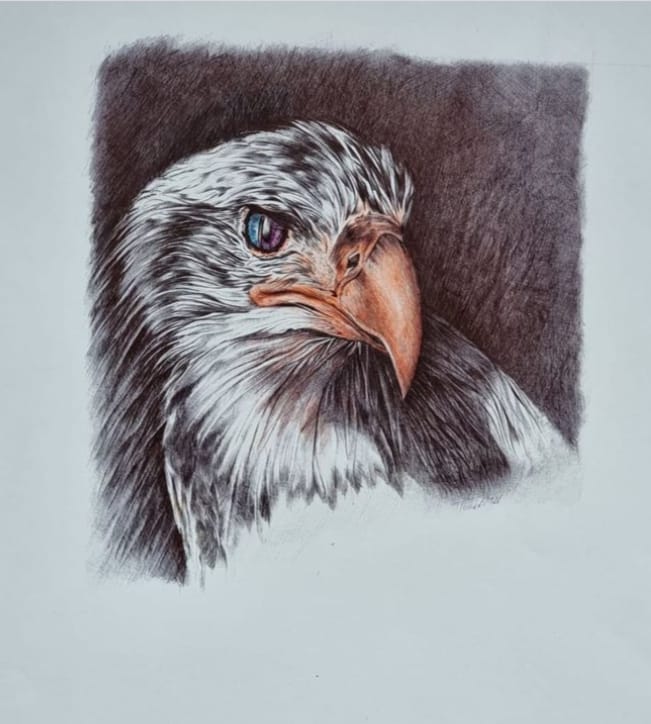 Eagle