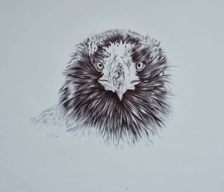 Eaglet