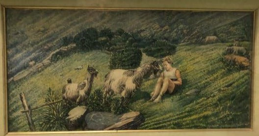Niño con cabras