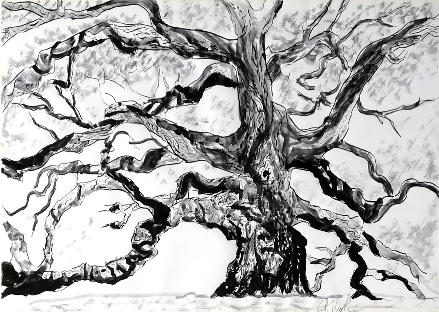 Carlo Oreglia - Árbol