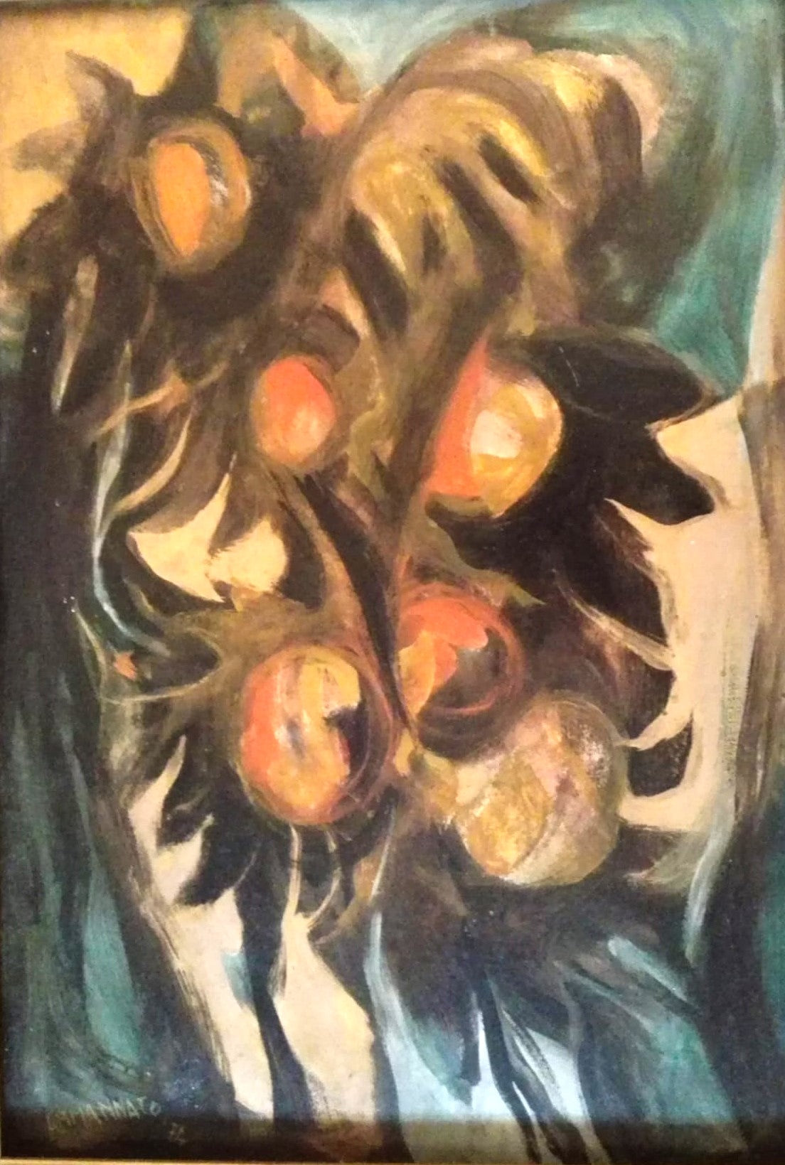 NATURE - PIERO AMMANNATO