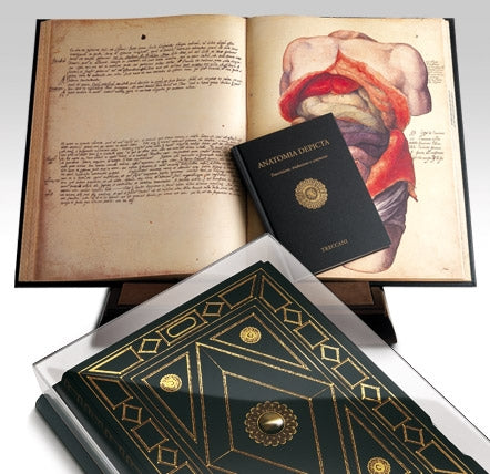 Anatomia Depicta - Treccani