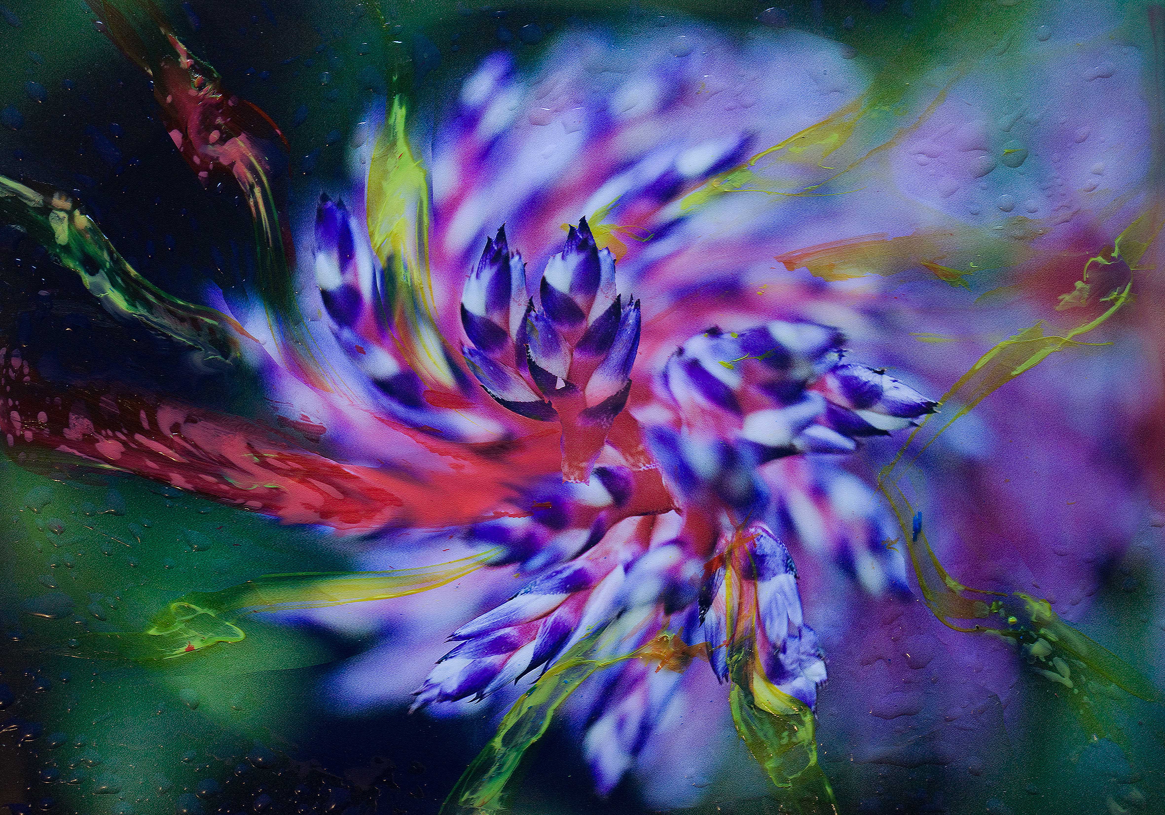 ARMONIA