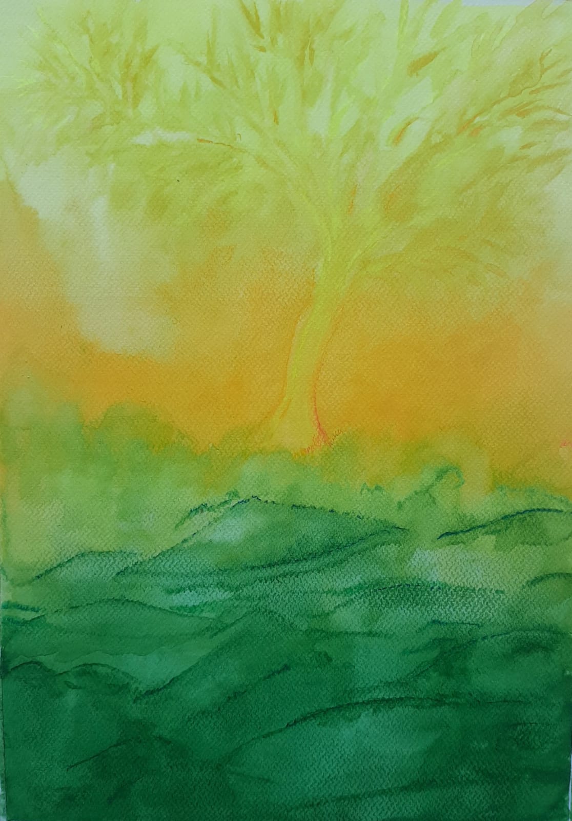 Spaceships on the ground and roots in the skies