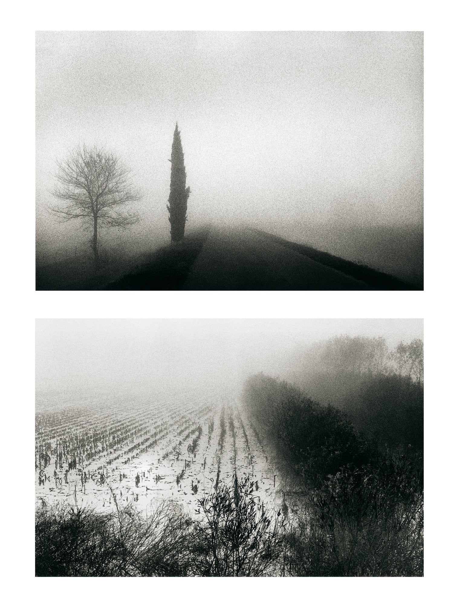 Massimo D'Amato - Autunno/Inverno