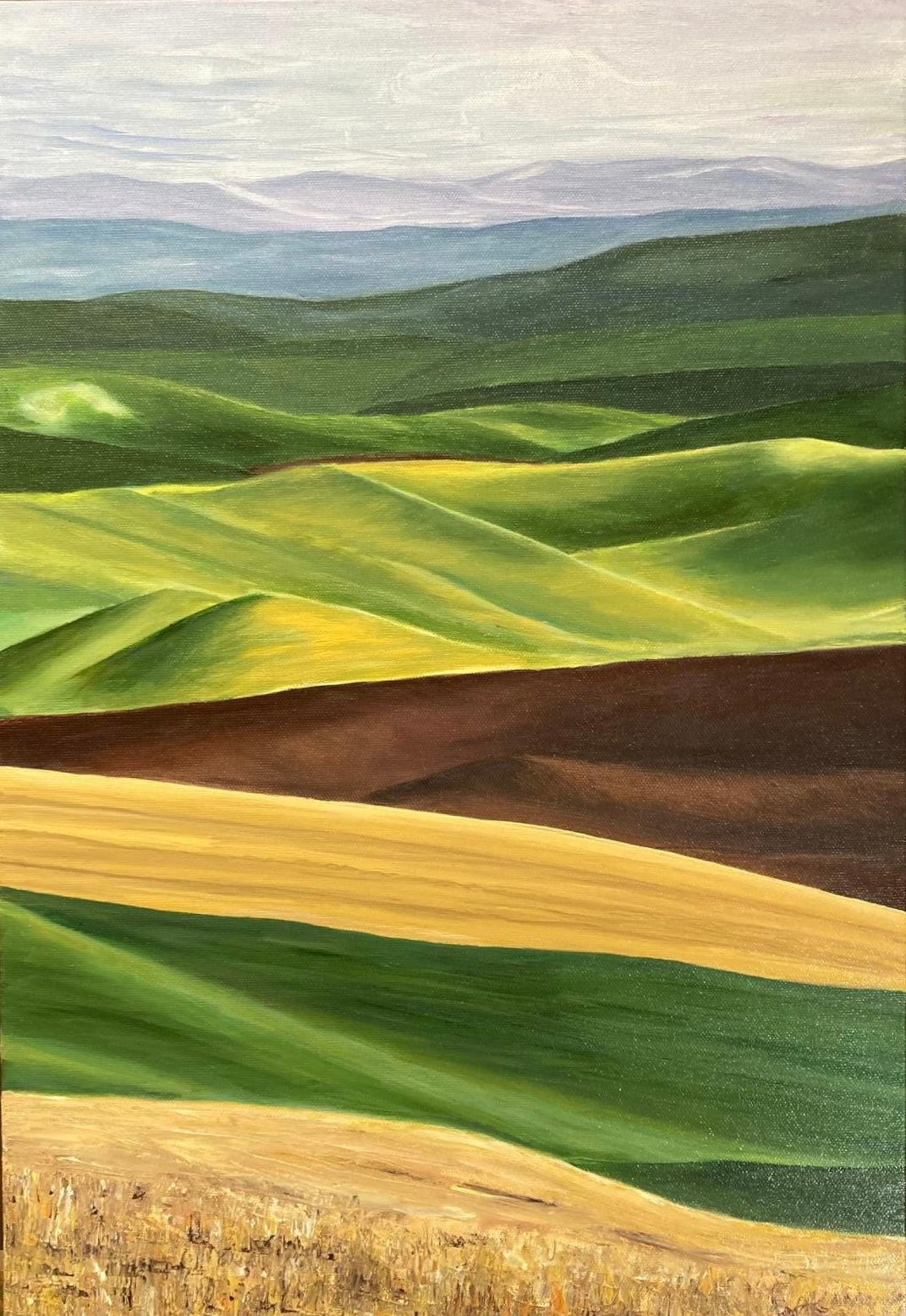 DALLA FINESTRA