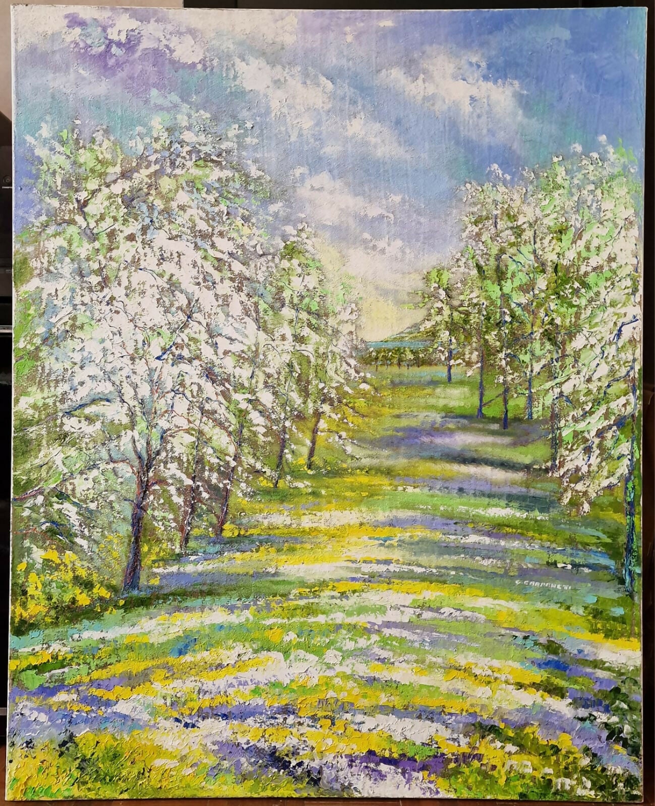 La valle dei meli in fiore