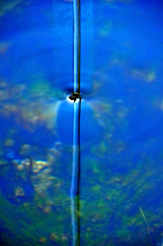 Barbara Bertoncelli - Blue - Balance