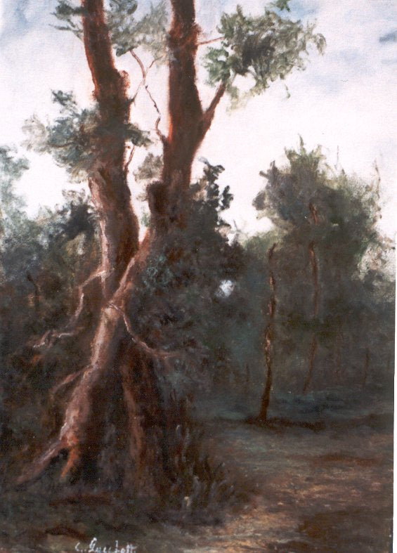 Bosco, los dos árboles