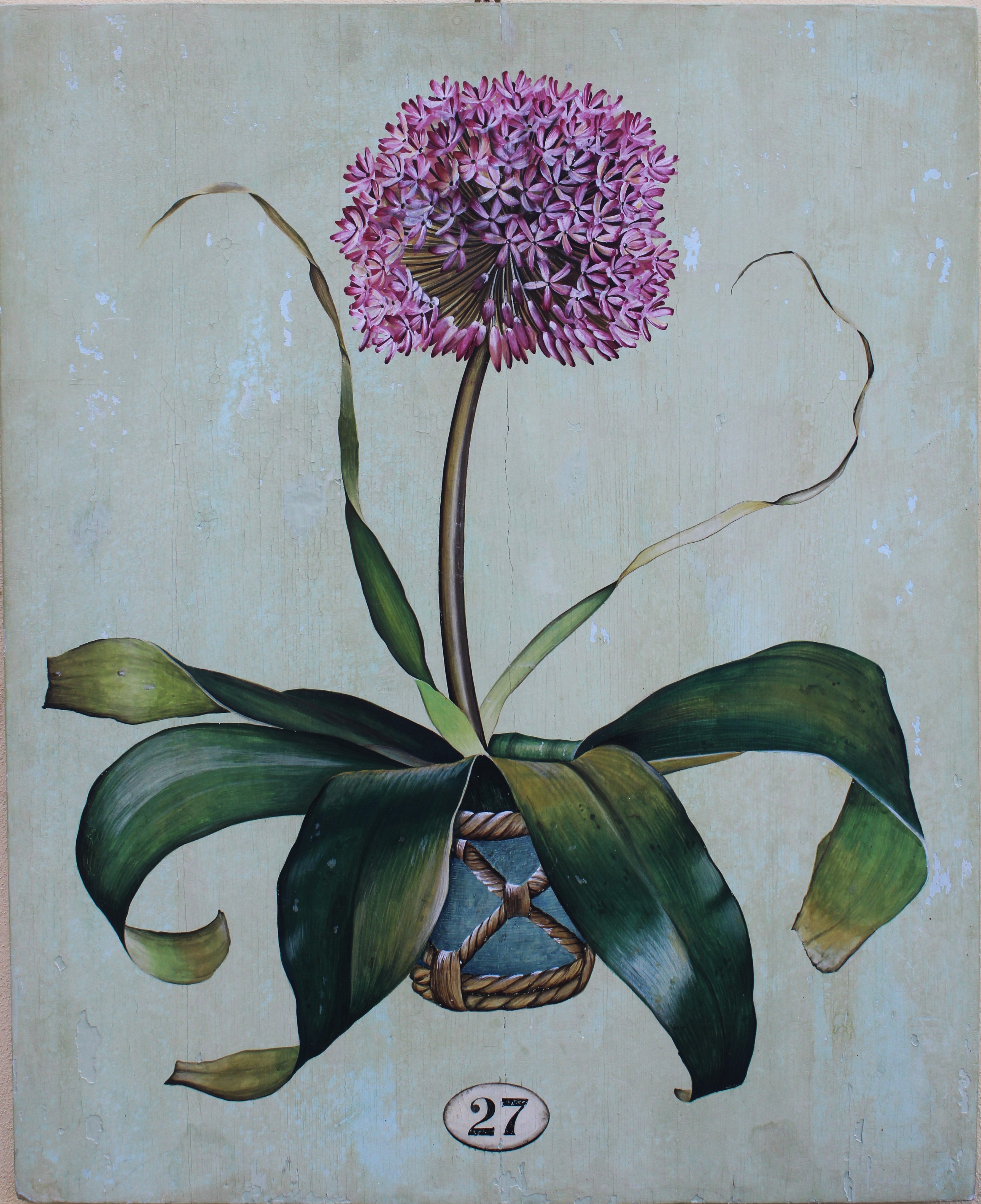 Botanica 27