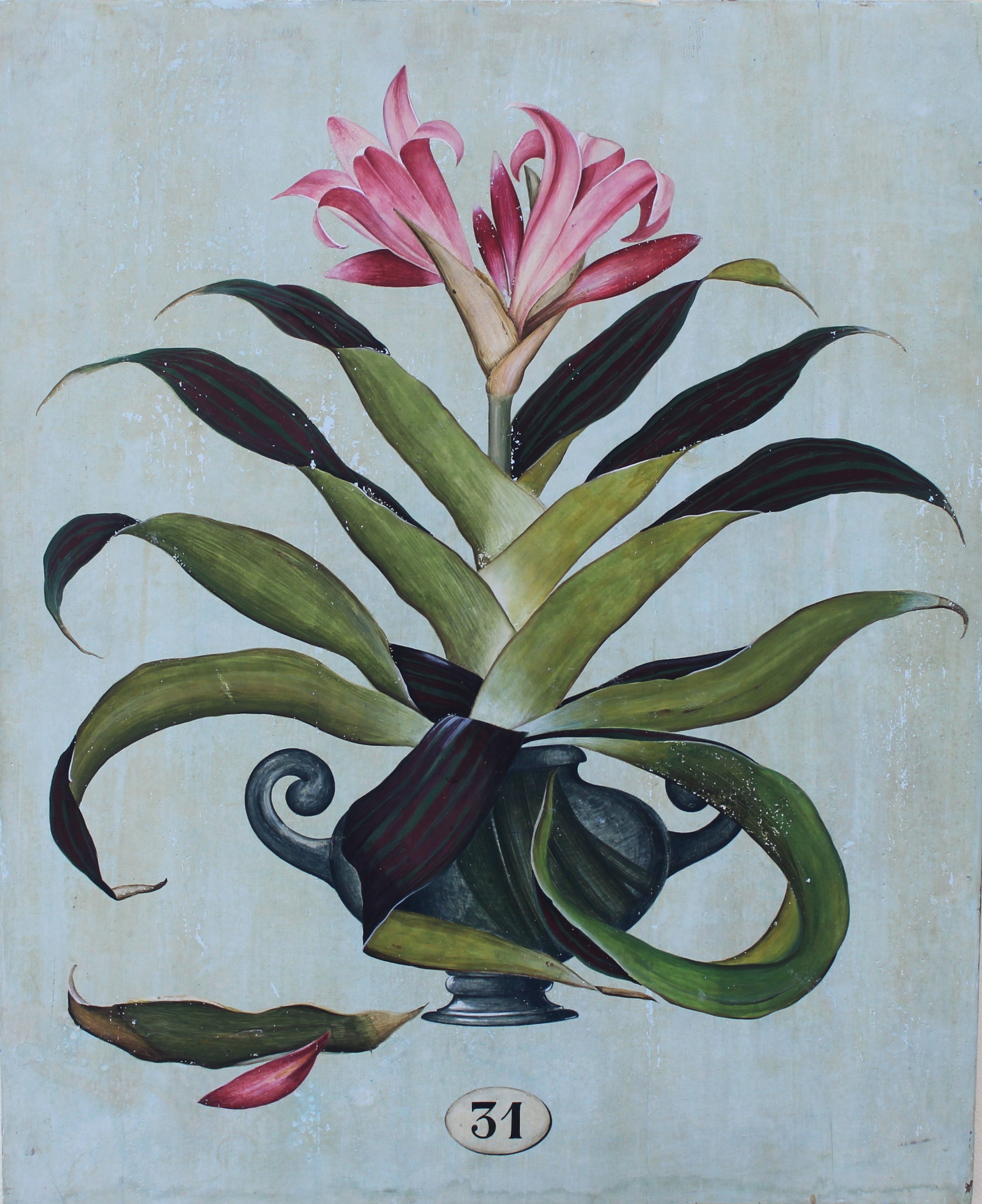 Botanica 31
