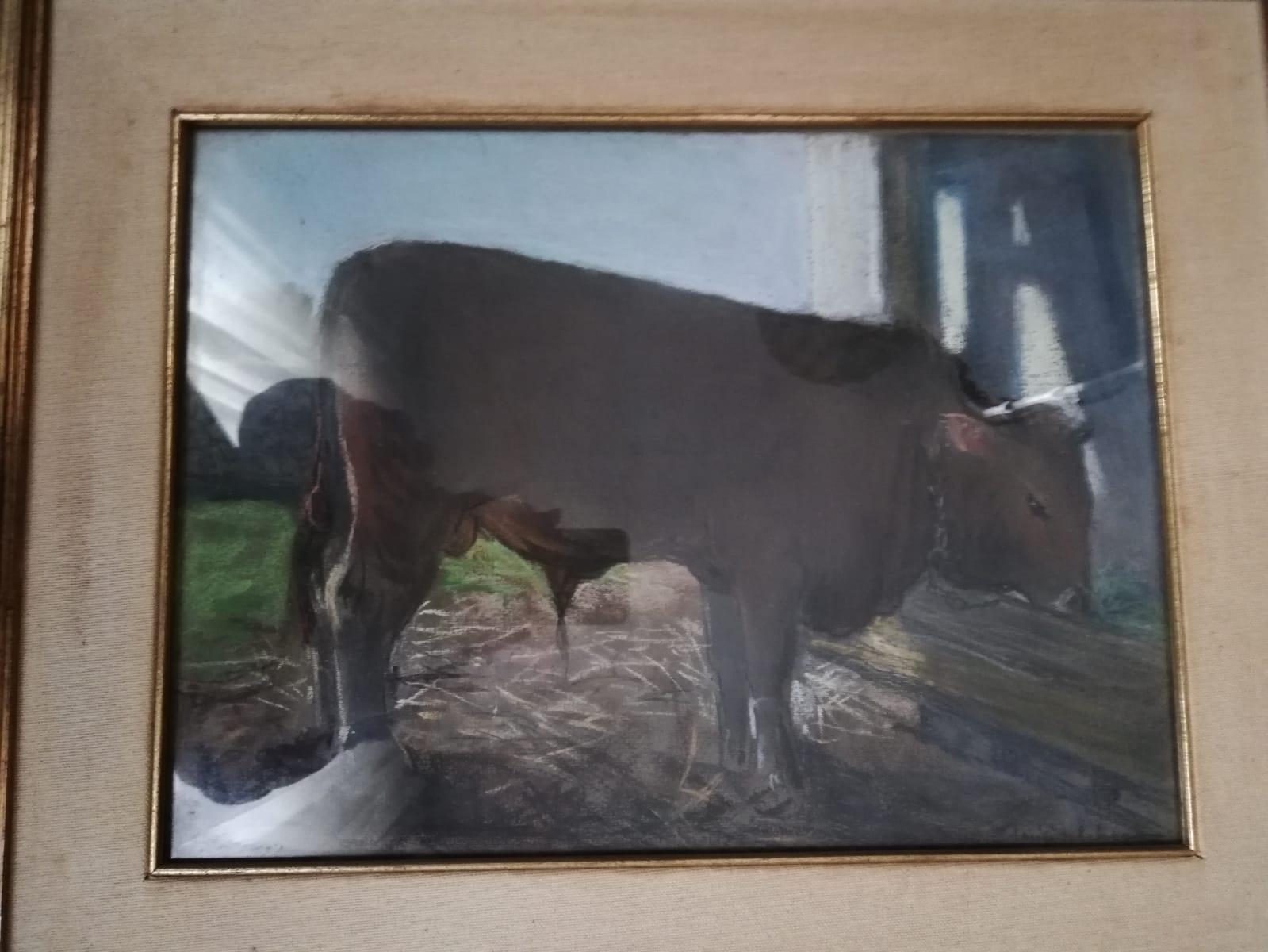 Bovine