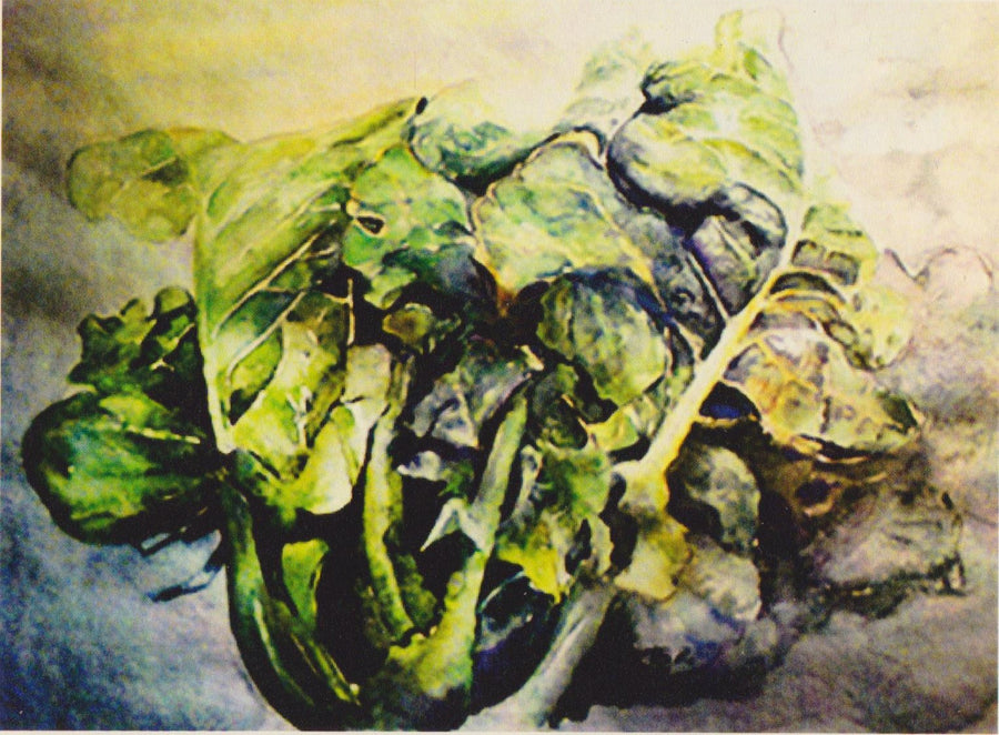 Broccolo Lavagnino